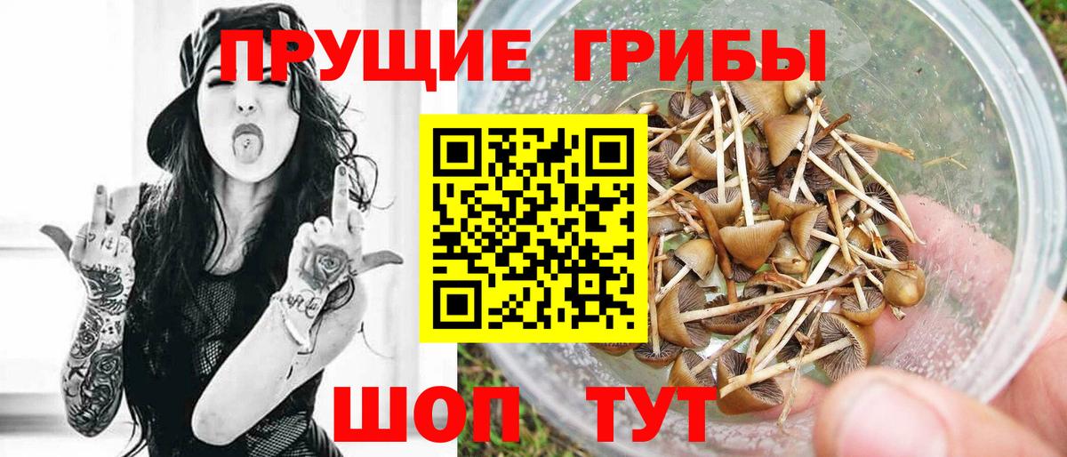 Галлюциногенные грибы Cubensis  Вход с VPN  Галлюциногенные грибы MAGIC MUSHROOMS  Кумертау 